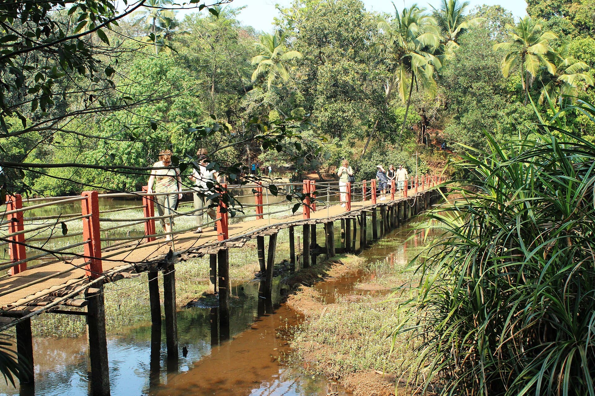 Spice Plantations & Interior Goa