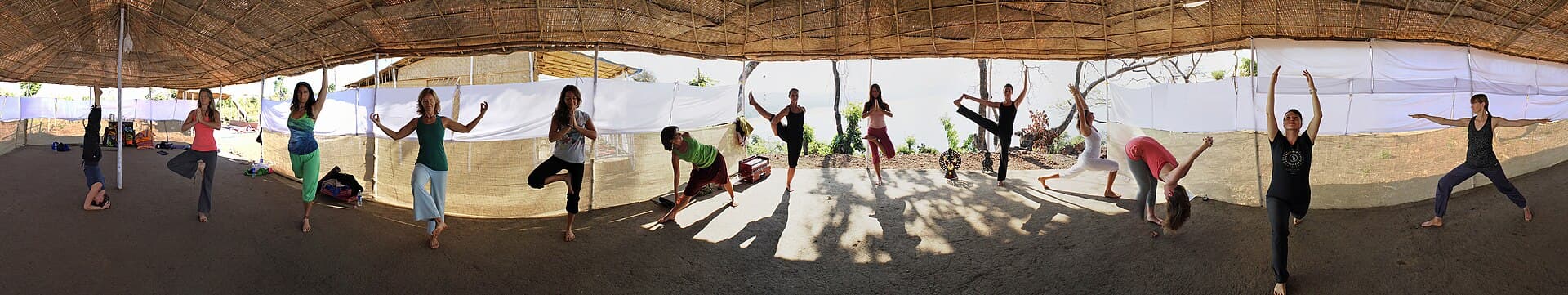 Wellness & Yoga Goa